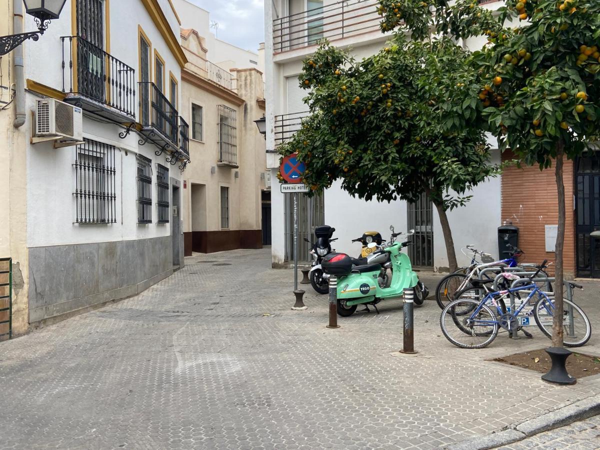 Apartment Wall Center - Aloha Sevilla Εξωτερικό φωτογραφία